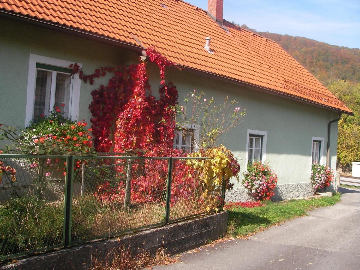 Haus Gerstbauer Daire Aggsbach Dış mekan fotoğraf